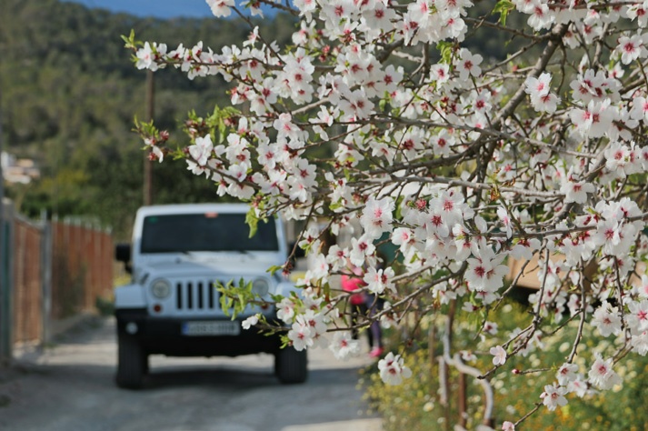 plans for winter in Ibiza rent a car in ibiza