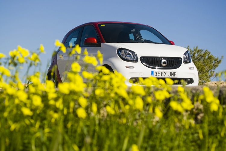 Moto Luis, car rental company in Ibiza since 1956 Photo © Alberto Paredes / Moto Luis