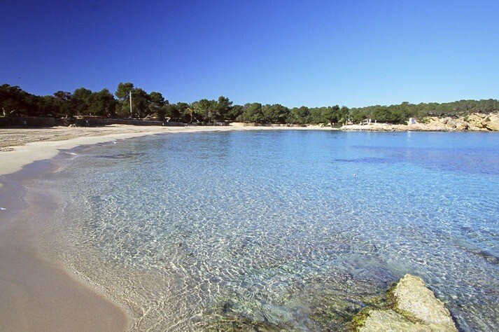 Cala Bassa, Ibiza